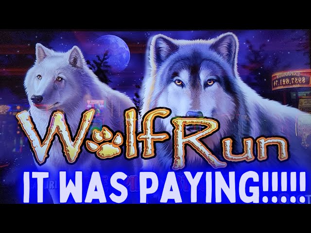 WOW This Wolf Run Was HOT Slot Machine