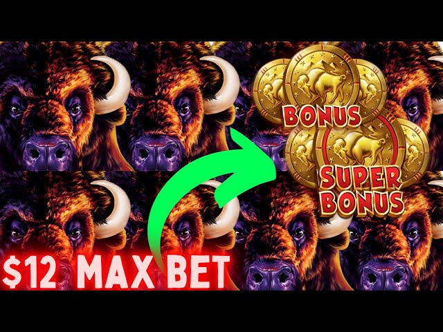 Buffalo Gold Slot SUPER FREE GAMES At Max Bet – What Happened ?