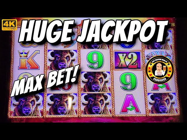 HUGE JACKPOT – MAX BET on Buffalo Gold slot machine