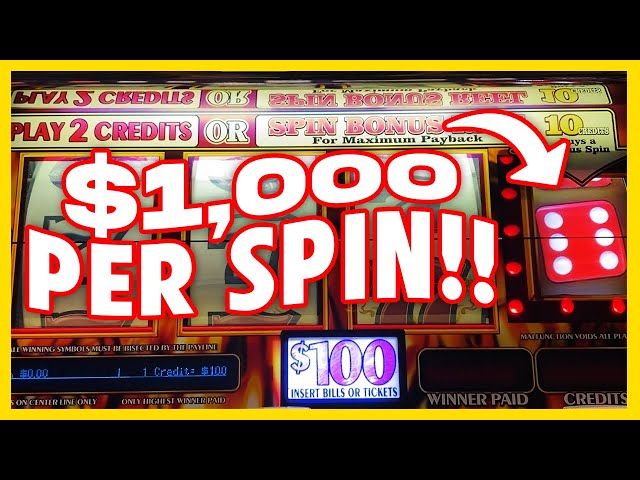 WE BET $1,000 PER SPIN…. THIS IS WHAT HAPPENED…