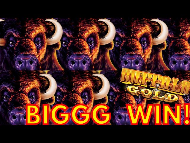 Buffalo Gold Slot MASSIVE LINE HIT & Max Bet Bonuses !