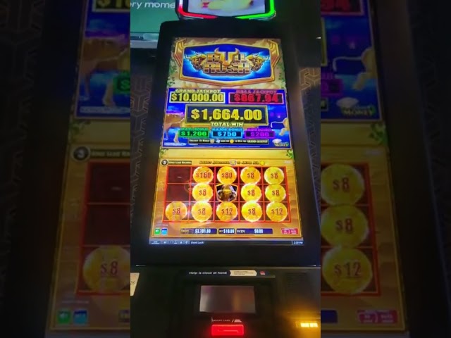 Big Bullrush Win on Maximus Money Slots Machine #jackpot #slotmachine #casino