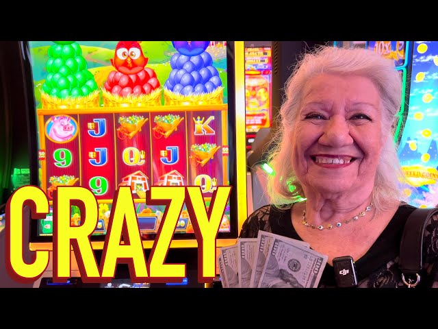 Crazy WIN on Crazy Chickens Slots!!!