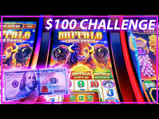 Going for Bonuses on Triple Buffalo Slot Machine!