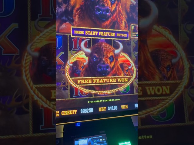 HUGE BUFFALO LINK SLOT BONUS! Minor #jackpot 4 Times in a Row! #slots #casino #gambling #slot