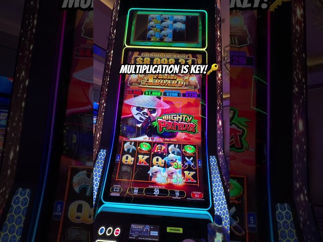 Passenger Hits a JACKPOT! ALL ABOARD! #lasvegas #casino #slotmachine