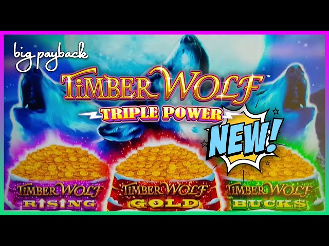 DOUBLE BONUSES on Timber Wolf Triple Power Slots!