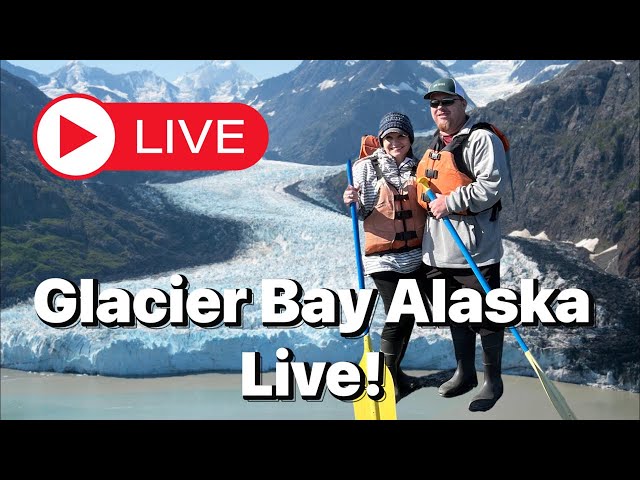 Experience Glacier Bay With Us from the BEST View on the Ship!!