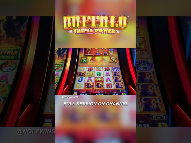 Hitting Bonuses on Buffalo Triple Power Slot Machine #slotbonus #BuffaloTriplePower #SlotMachine