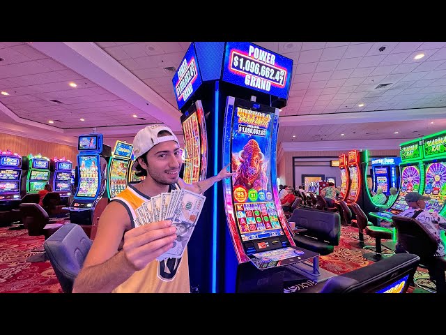 I Put $1000 In This Buffalo Pay Slot… AND The Results Speak For THEMSELVES!