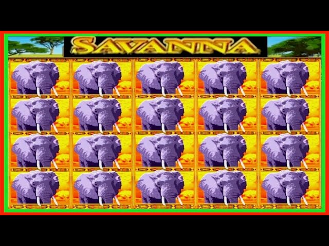 JACKPOT HANDPAY$500 BETSSAVANNA HIGH LIMIT SLOT MACHINE BUENO DINERO MUSEUM SLOTS IGT