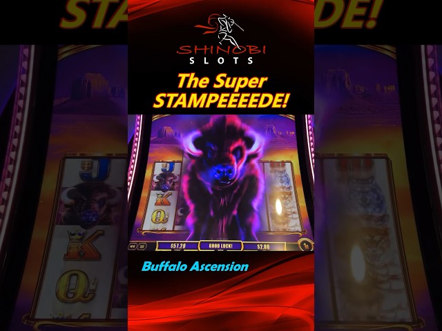 Stampeeeede! Super Stampede Huge Win in Buffalo Ascension #shinobislots #shorts #shortfeed