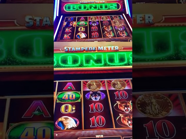 A Ridiculous Bonus! #slot #casino