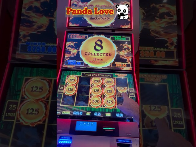 Panda Magic Showed me Love & Money! #slots #casino #shorts