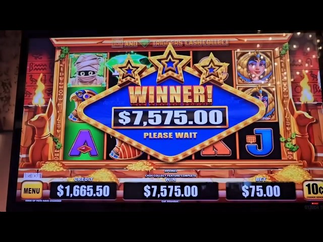 5 Massive Slot Jackpots You Won’t Believe!!!