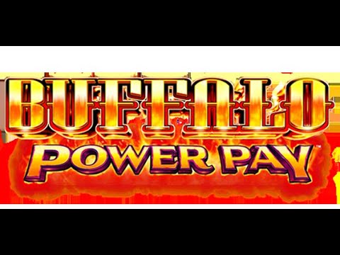 Buffalo Power Pay Slot Machine!