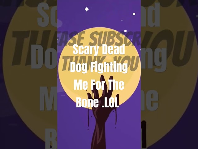 Casino Dead Dog #casinofun #casinofunny #casino #slot #jackpot #gambling #vegas