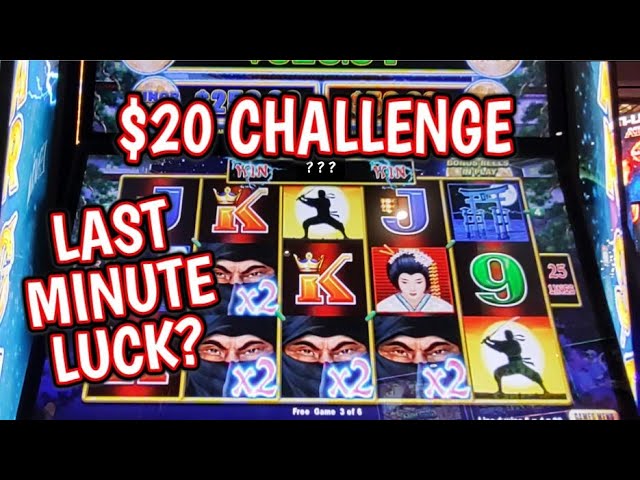 DOES IT REALLY ONLY TAKE $1.25?! $20 CHALLENGE on NINJA MOON!