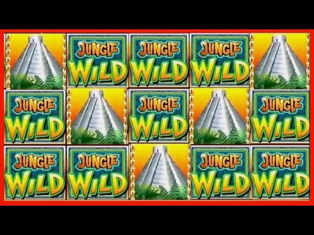 JACKPOT HANDPAY$37 BETSJUNGLE WILD HIGH LIMIT SLOT MACHINE BUENO DINERO MUSEUM SLOTS WMS