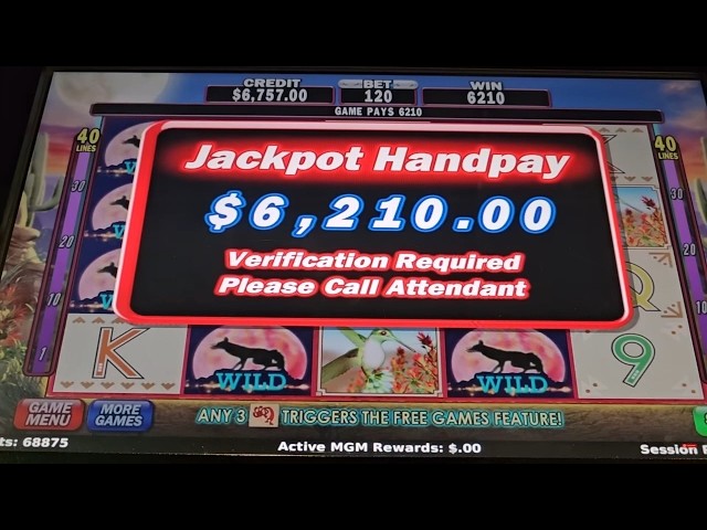 Life Changing Slot Jackpot!! It Really Happened!