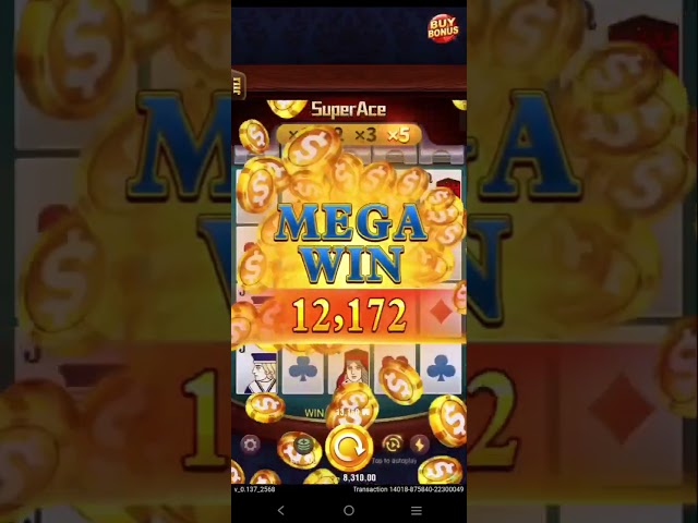 Super ace big win