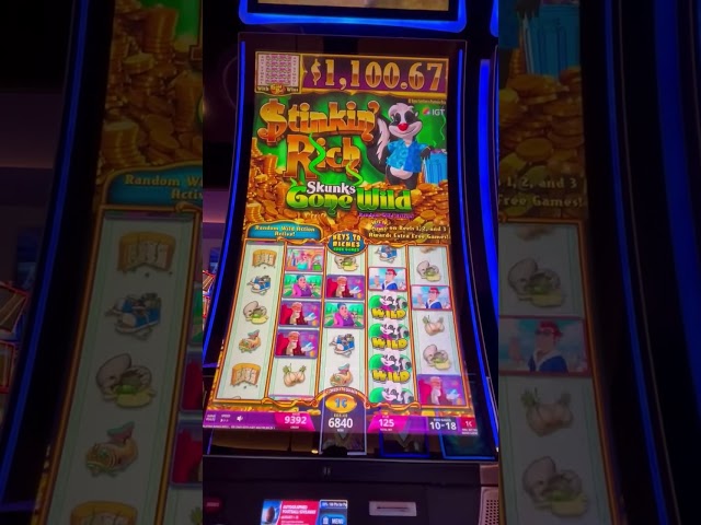 A FUN 100x WIN on STINKIN’ RICH Skunks Gone Wild Slot!