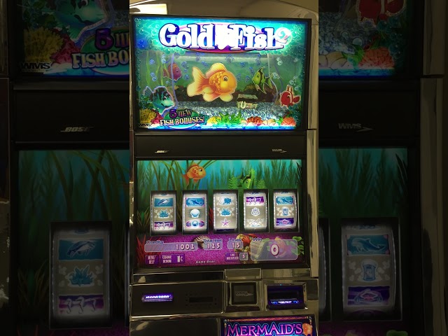 Big win on Goldfish Slot Machine #slotsmatter #arcade #casino #slotcabinet