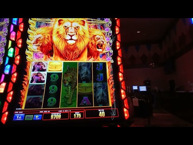 Lion Game at Meskwaki Casino