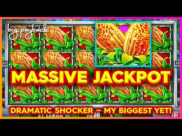 MASSIVE JACKPOT on Cash Crop Slots! MY BIGGEST YET on this game!