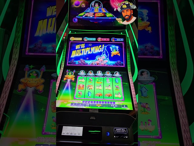 Rufus is in the Moolah! #slot #jackpot #casino #money #Lasvegas