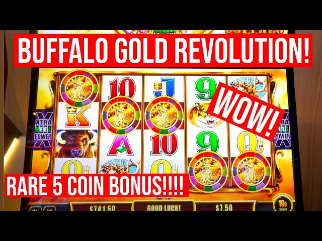 SUPER RARE! 5 COIN BONUS ON BUFFALO GOLD REVOLUTION SLOT!!!