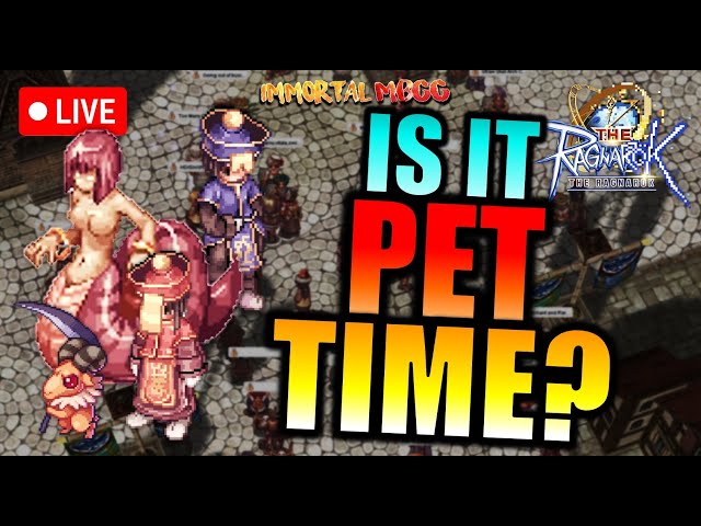 THE RAGNAROK SEA : CAN WE UNLOCK PETS TODAY?!! [TRO]