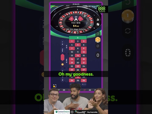 The Team Plays Roulette Using ONLY The OUTSIDE Of The Table #casino #roulette #casinogames