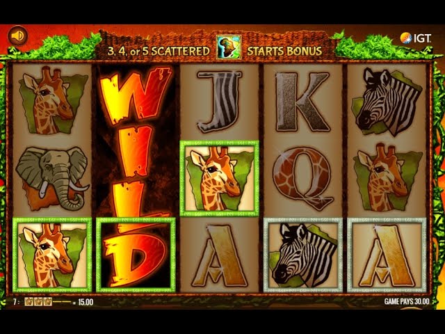 Wild life slot gambling