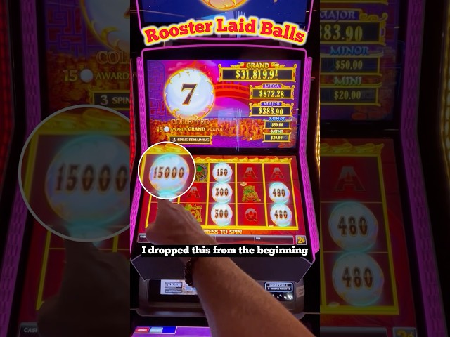 $4.50 Bet Big Win on Lion Link Slot!