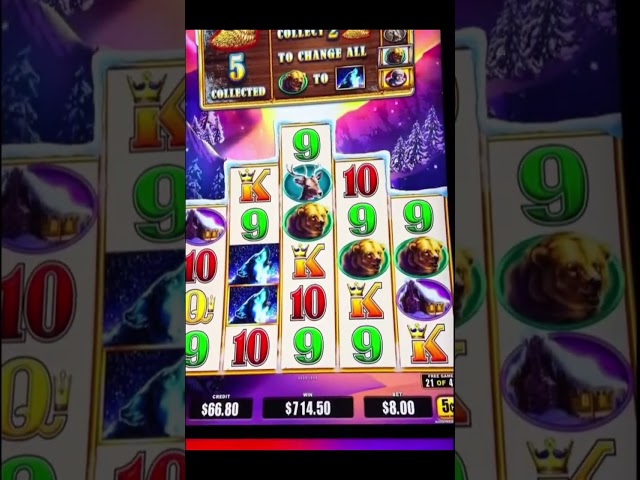 Amazing $16,500 win on TIMBERWOLF TRIPLE POWER 2000X BONUS #slotmachine #casino #jackpot