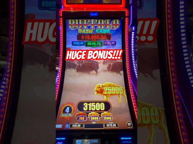 Amazing Buffalo Bonus Dash for Cash! #casino #slot #buffalo