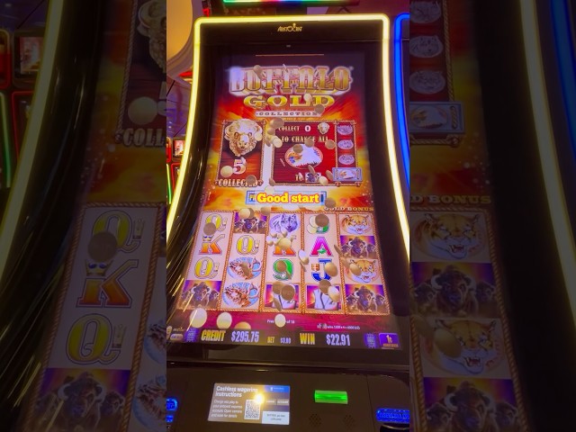 Buffalo Gold Slot FINALLY came through with a Win!