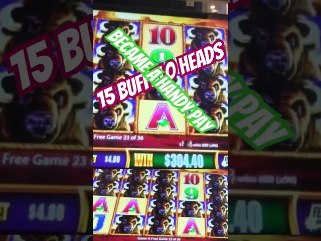 INSANE BUFFALO GOLD SLOT MACHINE WIN #shorts #slots #buffaloslots #casino