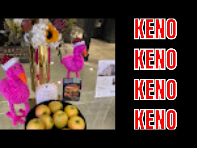 Keno Keno Keno Las Vegas LIVE Stream – Casino Action – Tours and Food