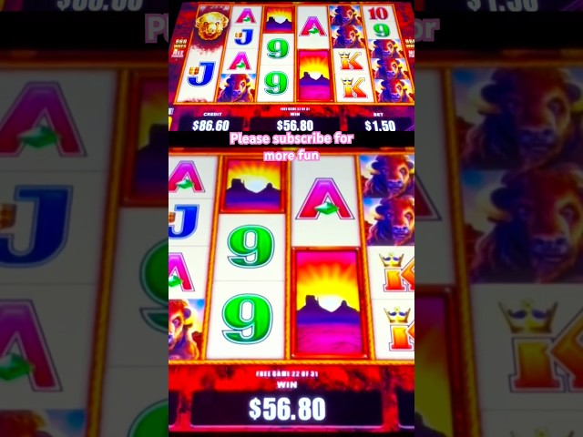 Massive #casino Buffalo Gold Bonus Win! Huge Handpay Jackpot at the #Casino! #shorts #slots