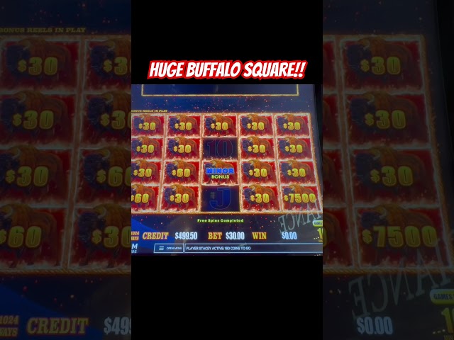 250x Bet Falls for Huge Buffalo Jackpot! #casino #slot #staceyshighlimitslots