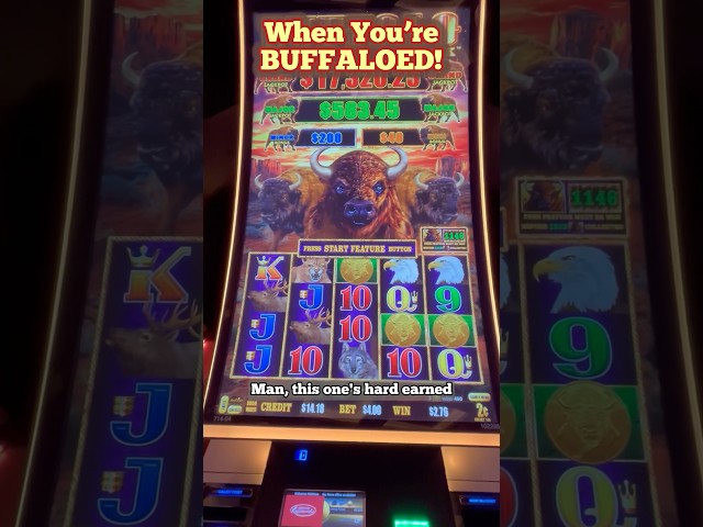 $4 Bet on Buffalo Link Slot Reveals UGLY Truth!