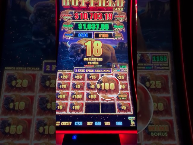 Buffalo Link Slot Love: 100x WIN!