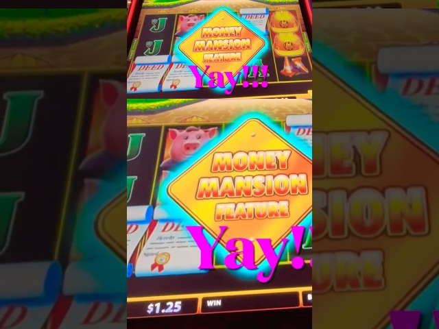 The Most Insane Slot Machine Bonuses Ever! #shorts #casino #shadyslots #gambling