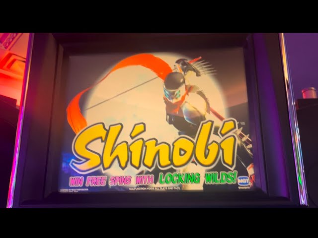 Theres a game by IGT in Oklahoma called Shinobi!